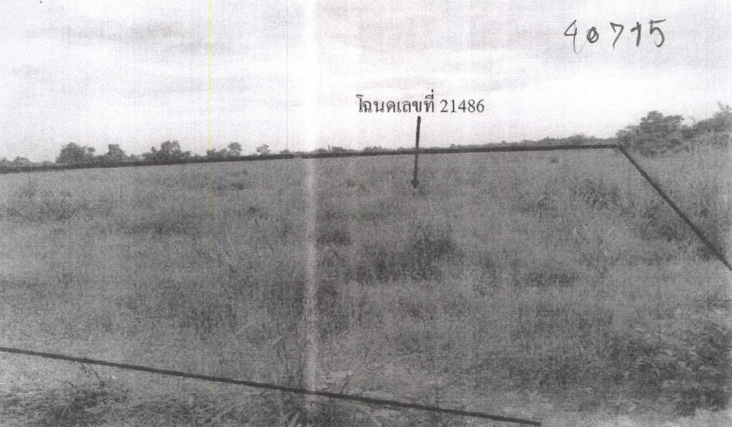 รูปที่ดินว่างเปล่า หนองโรง หนองแค สระบุรี