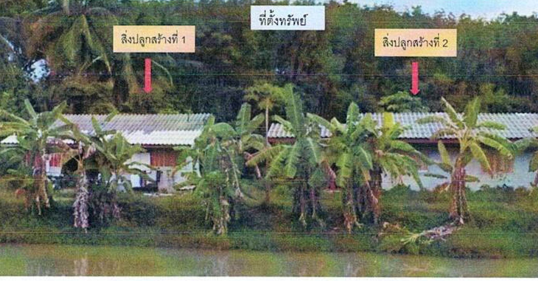 รูปที่ดินพร้อมสิ่งปลูกสร้าง ป่าบอน โคกโพธิ์ ปัตตานี