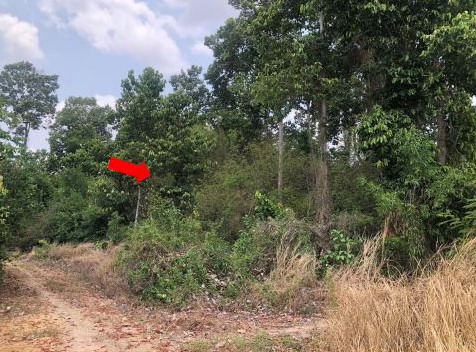 รูปที่ดินว่างเปล่า ธาตุ รัตนบุรี สุรินทร์