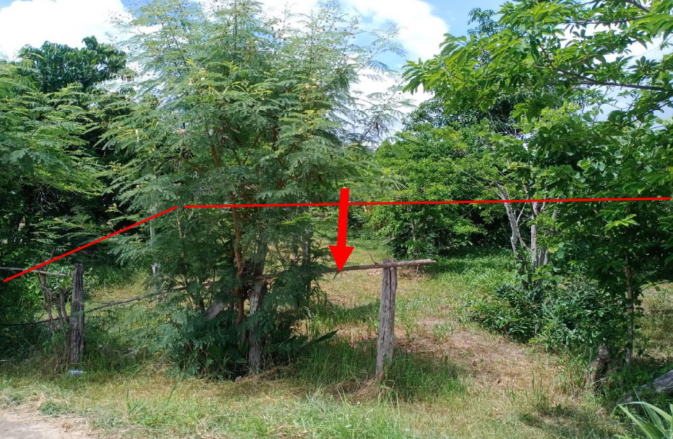 รูปที่ดินว่างเปล่า ดงเจน ภูกามยาว พะเยา