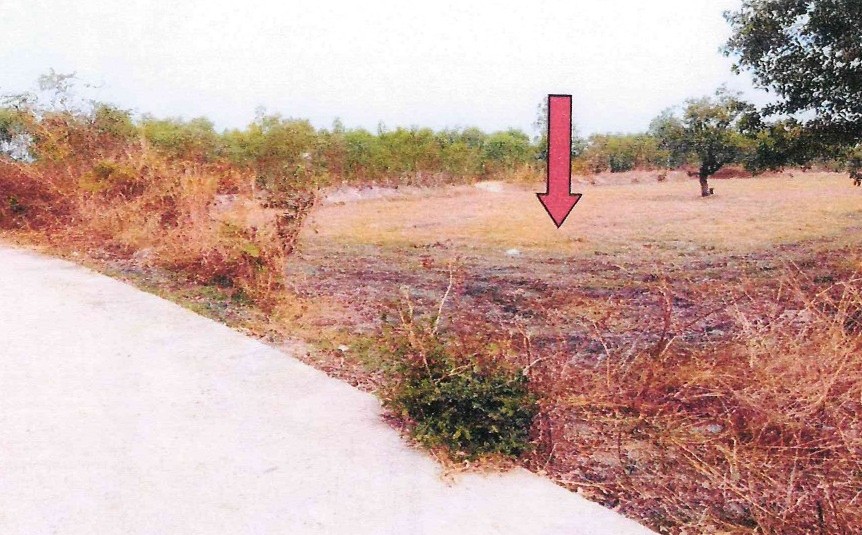 รูปที่ดินว่างเปล่า ไม้กลอน พนา อำนาจเจริญ