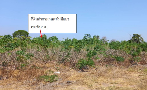 รูปที่ดินว่างเปล่า เวียงคำ กุมภวาปี อุดรธานี