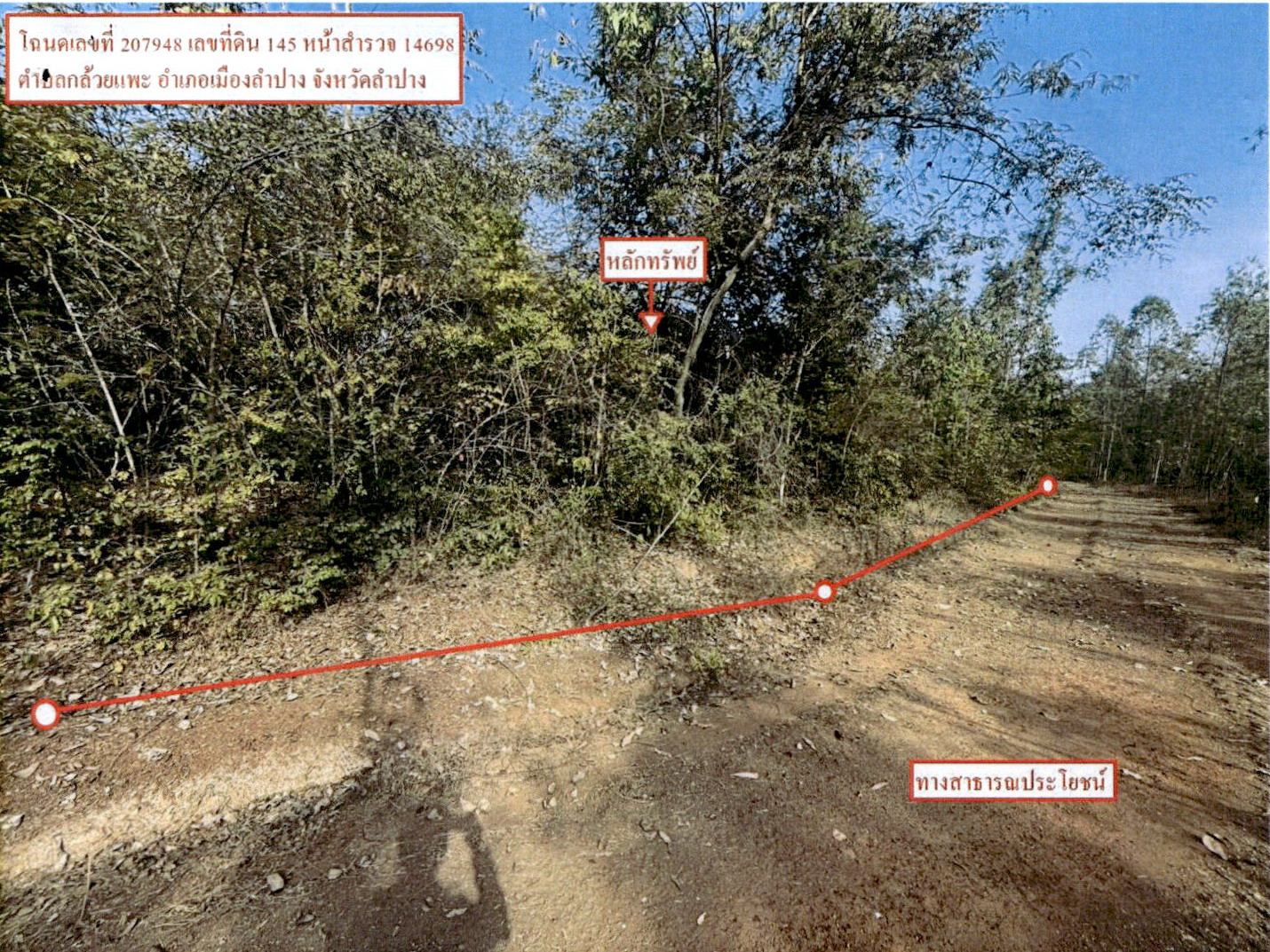 รูปที่ดินว่างเปล่า กล้วยแพะ เมืองลำปาง ลำปาง