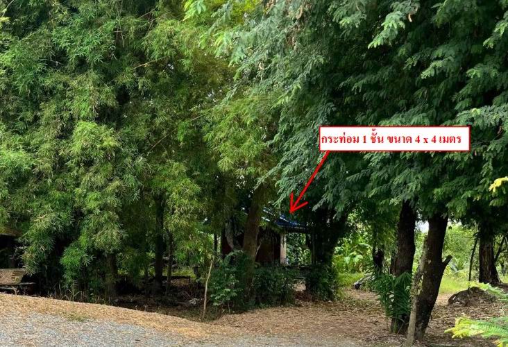 รูปที่ดินพร้อมสิ่งปลูกสร้าง หนองปลาปาก ศรีเชียงใหม่ หนองคาย