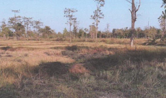 รูปที่ดินว่างเปล่า นามะเขือ ปลาปาก นครพนม