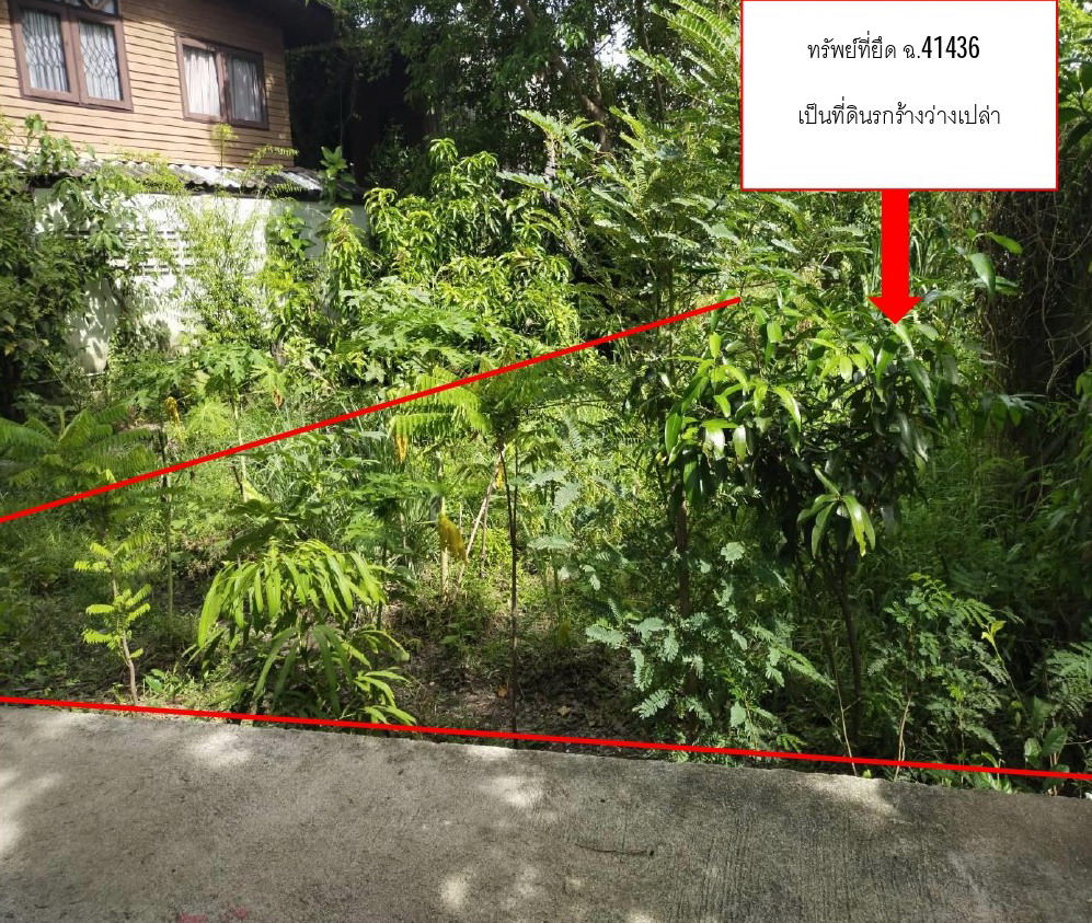 รูปที่ดินว่างเปล่า เกาะเกร็ด ปากเกร็ด นนทบุรี