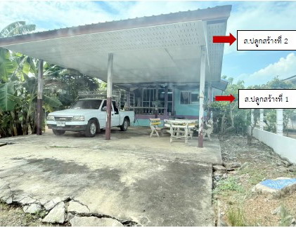รูปที่ดินพร้อมสิ่งปลูกสร้าง หนองพยอม ตะพานหิน พิจิตร