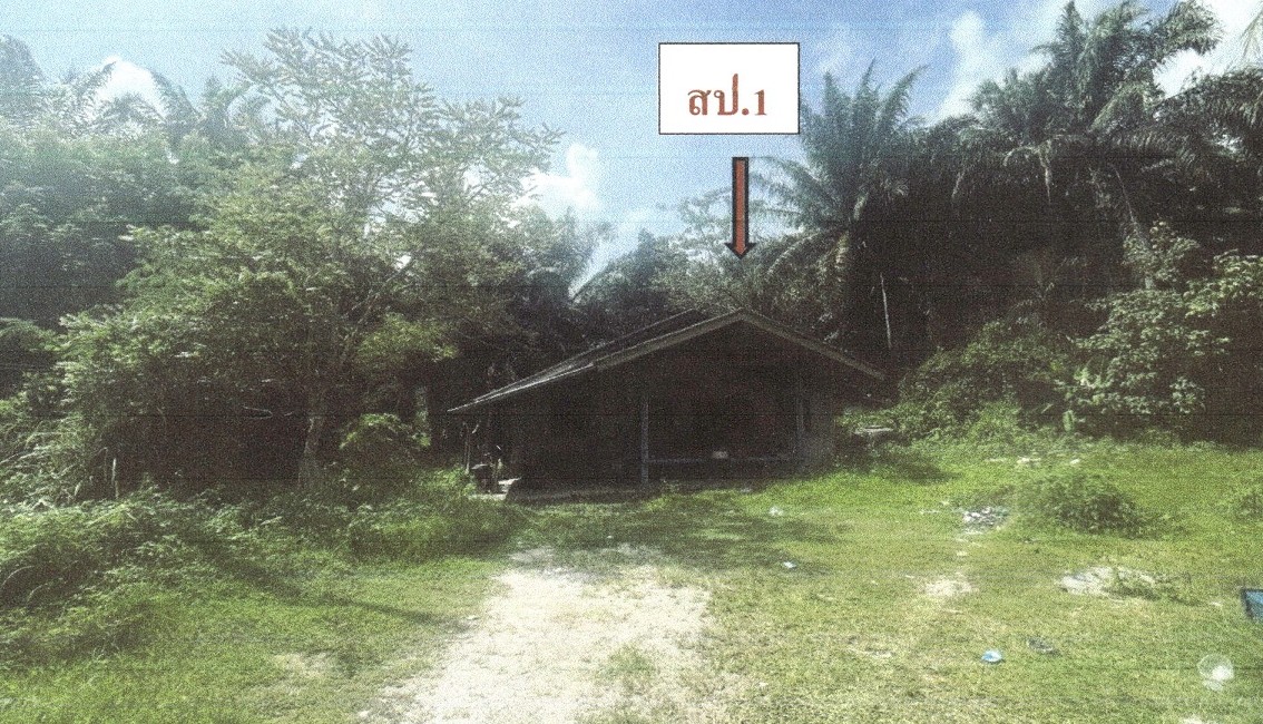 รูปที่ดินพร้อมสิ่งปลูกสร้าง สะพลี ปะทิว ชุมพร