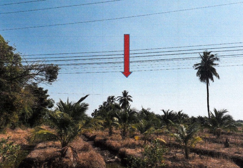 รูปที่ดินว่างเปล่า ท่าชุมพล โพธาราม ราชบุรี