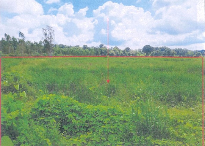 รูปที่ดินว่างเปล่า น้ำปลีก เมืองอำนาจเจริญ อำนาจเจริญ