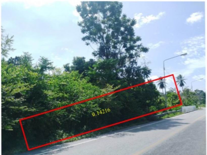 รูปที่ดินว่างเปล่า เรียง รือเสาะ นราธิวาส