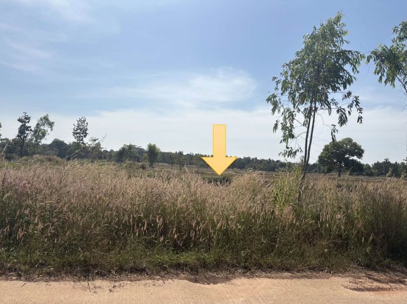 รูปที่ดินว่างเปล่า ปลาโหล วาริชภูมิ สกลนคร