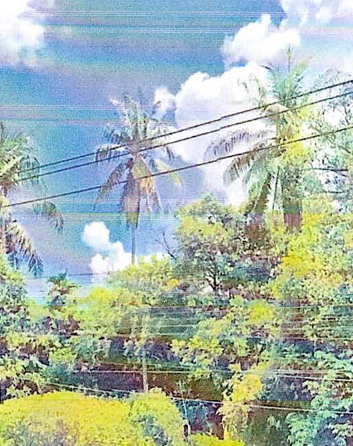 รูปที่ดินว่างเปล่า กาบัง ยะหา ยะลา