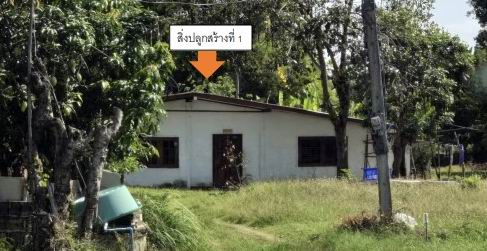 รูปที่ดินพร้อมสิ่งปลูกสร้าง โคกสะอาด ฆ้องชัย กาฬสินธุ์