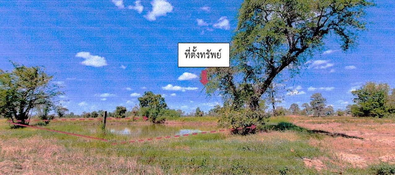 รูปที่ดินว่างเปล่า บุฤาษี (เมืองที) เมืองสุรินทร์ สุรินทร์