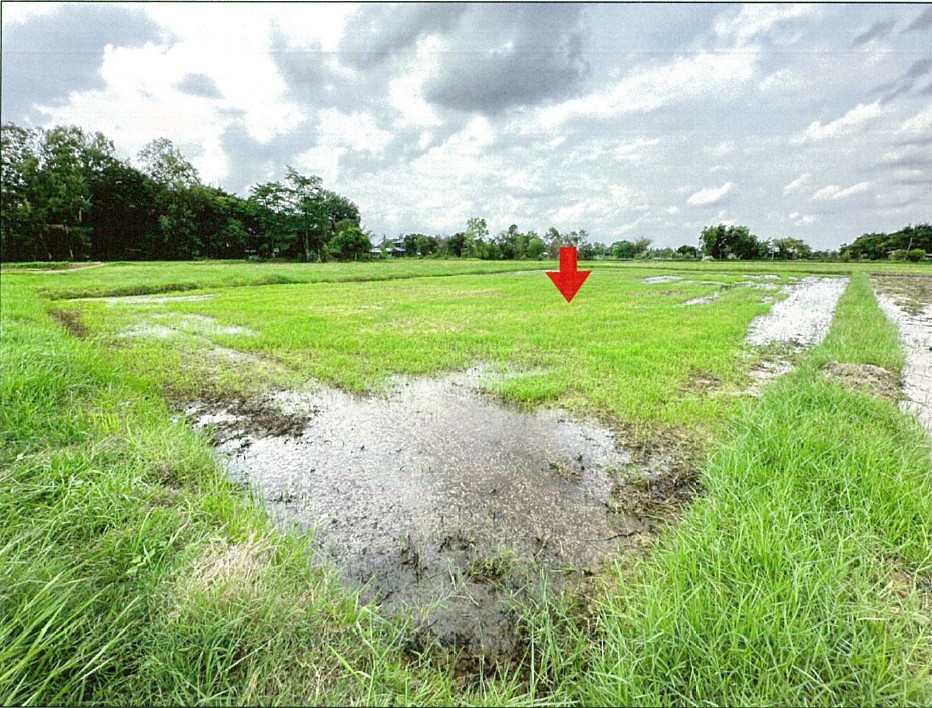 รูปที่ดินว่างเปล่า ย่อ คำเขื่อนแก้ว ยโสธร