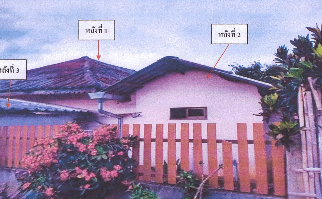 รูปที่ดินพร้อมสิ่งปลูกสร้าง ท่าข้าวเปลือก แม่จัน เชียงราย