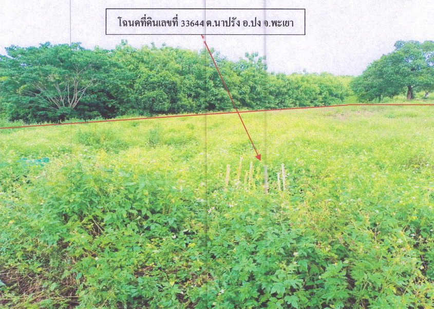 รูปที่ดินว่างเปล่า นาปรัง ปง พะเยา