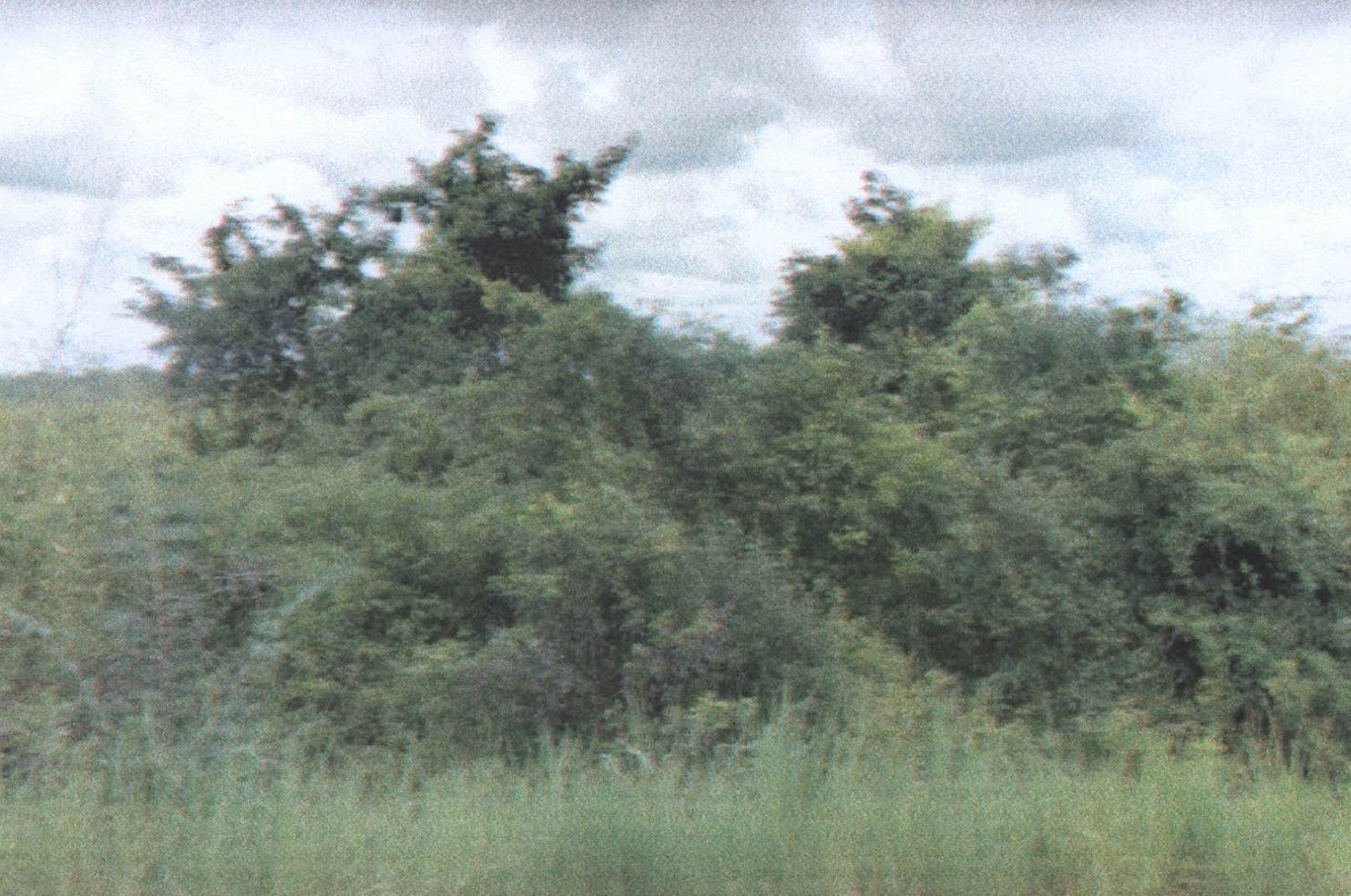 รูปที่ดินว่างเปล่า หนองบัวสิม คำตากล้า สกลนคร