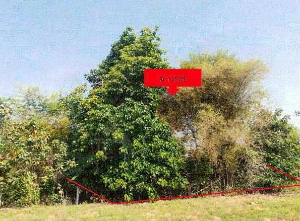 รูปที่ดินว่างเปล่า หนองปลาปาก ศรีเชียงใหม่ หนองคาย