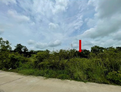 รูปที่ดินว่างเปล่า บ้านนา สามง่าม พิจิตร