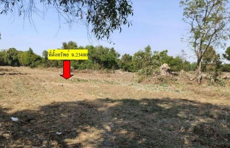 รูปที่ดินว่างเปล่า ทุ่งกุลา ท่าตูม สุรินทร์