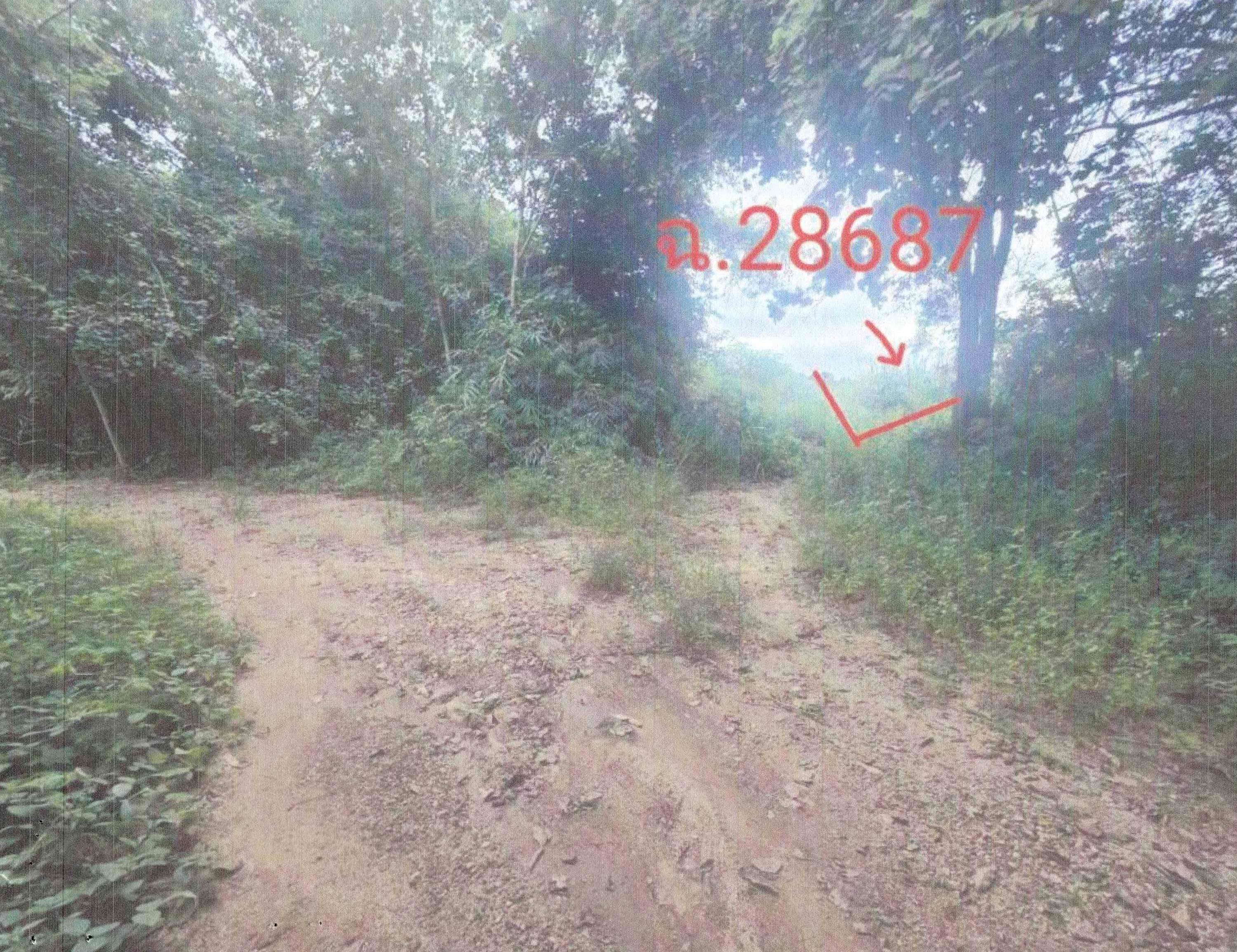 รูปที่ดินว่างเปล่า ปากปวน วังสะพุง เลย