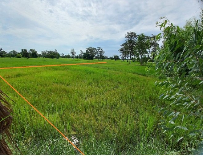 รูปที่ดินว่างเปล่า ฟ้าหยาด มหาชนะชัย ยโสธร