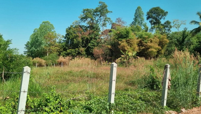 รูปที่ดินว่างเปล่า บ้านดุง บ้านดุง อุดรธานี