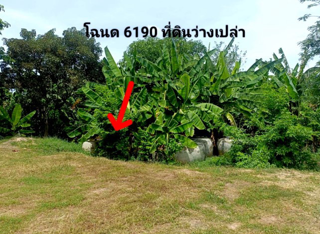 รูปที่ดินว่างเปล่า โนนแดง บรบือ มหาสารคาม