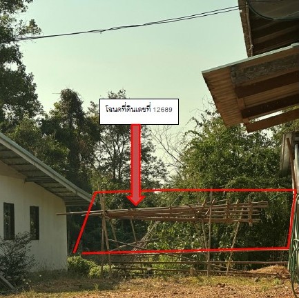 รูปที่ดินว่างเปล่า วังงิ้ว ดงเจริญ พิจิตร