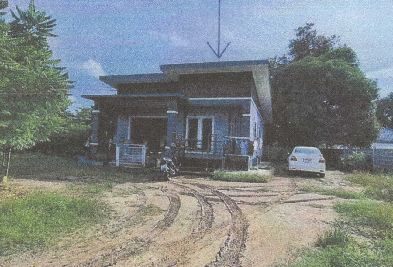 รูปที่ดินพร้อมสิ่งปลูกสร้าง หนองกระโดน เมืองนครสวรรค์ นครสวรรค์