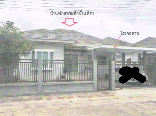 รูปที่ดินพร้อมสิ่งปลูกสร้าง สมอแข เมืองพิษณุโลก พิษณุโลก