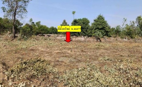 รูปที่ดินว่างเปล่า ทุ่งกุลา ท่าตูม สุรินทร์