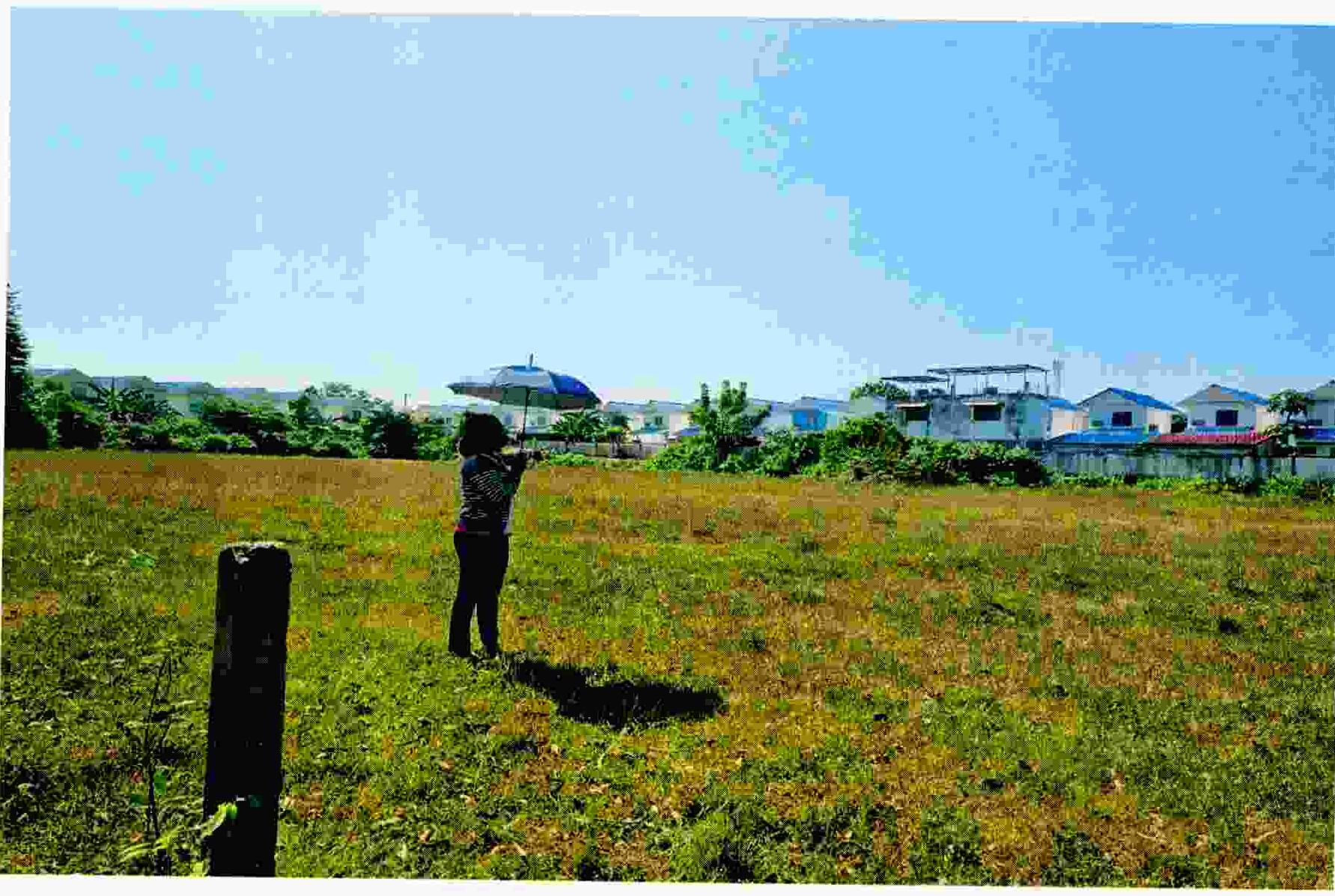 รูปที่ดินว่างเปล่า โพธิ์ชัย เมืองหนองคาย หนองคาย