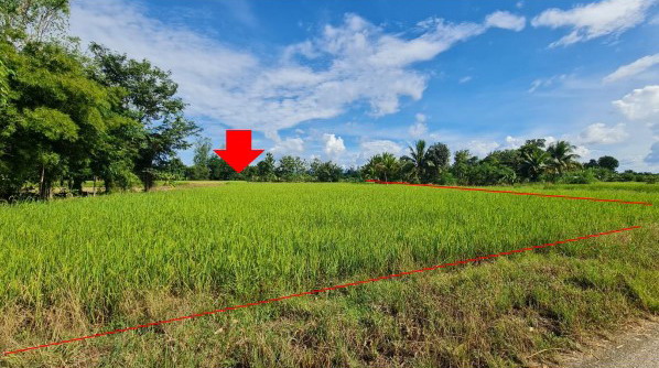 รูปที่ดินว่างเปล่า บ้านพร้าว นครไทย พิษณุโลก