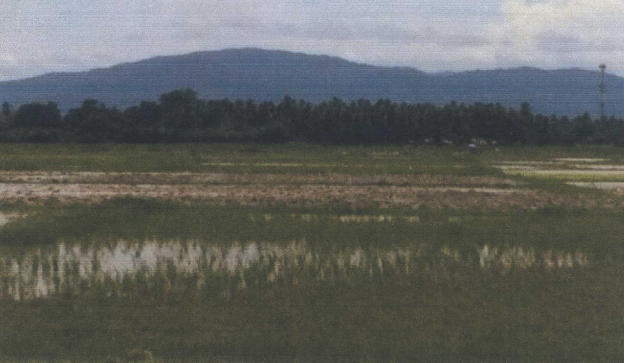 รูปที่ดินว่างเปล่า เตราะบอน สายบุรี ปัตตานี