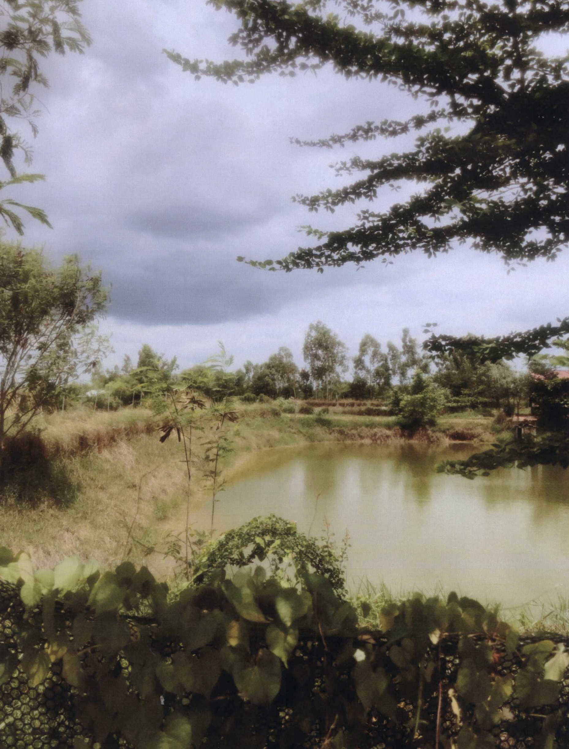 รูปที่ดินว่างเปล่า ด่านนอก ด่านขุนทด นครราชสีมา