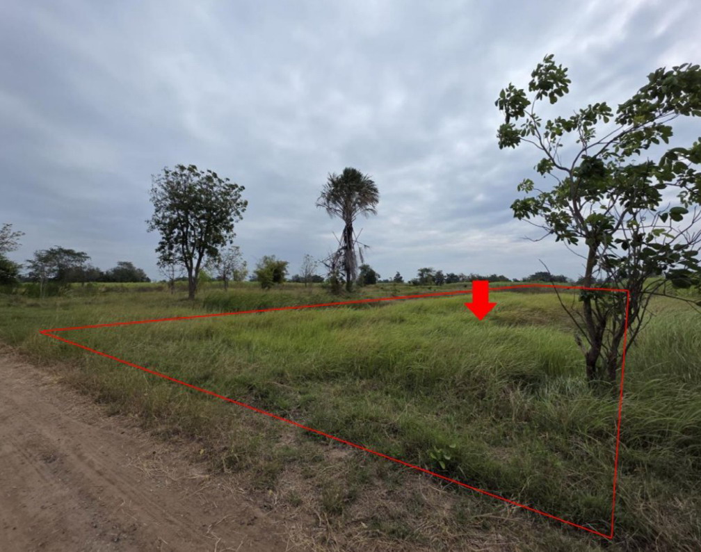 รูปที่ดินว่างเปล่า บ้านแปรง ด่านขุนทด นครราชสีมา