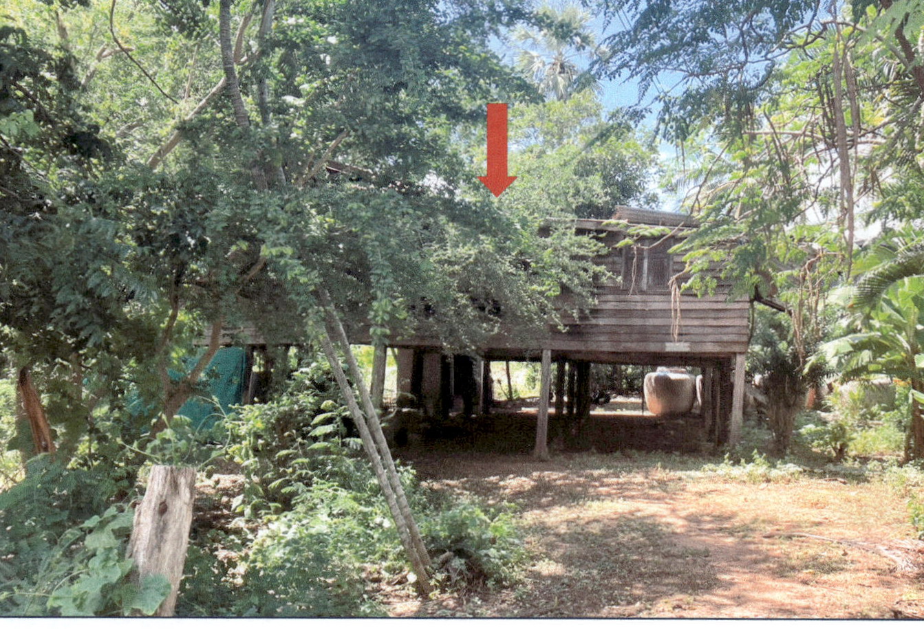 รูปที่ดินพร้อมสิ่งปลูกสร้าง บ้านตาล บำเหน็จณรงค์ ชัยภูมิ