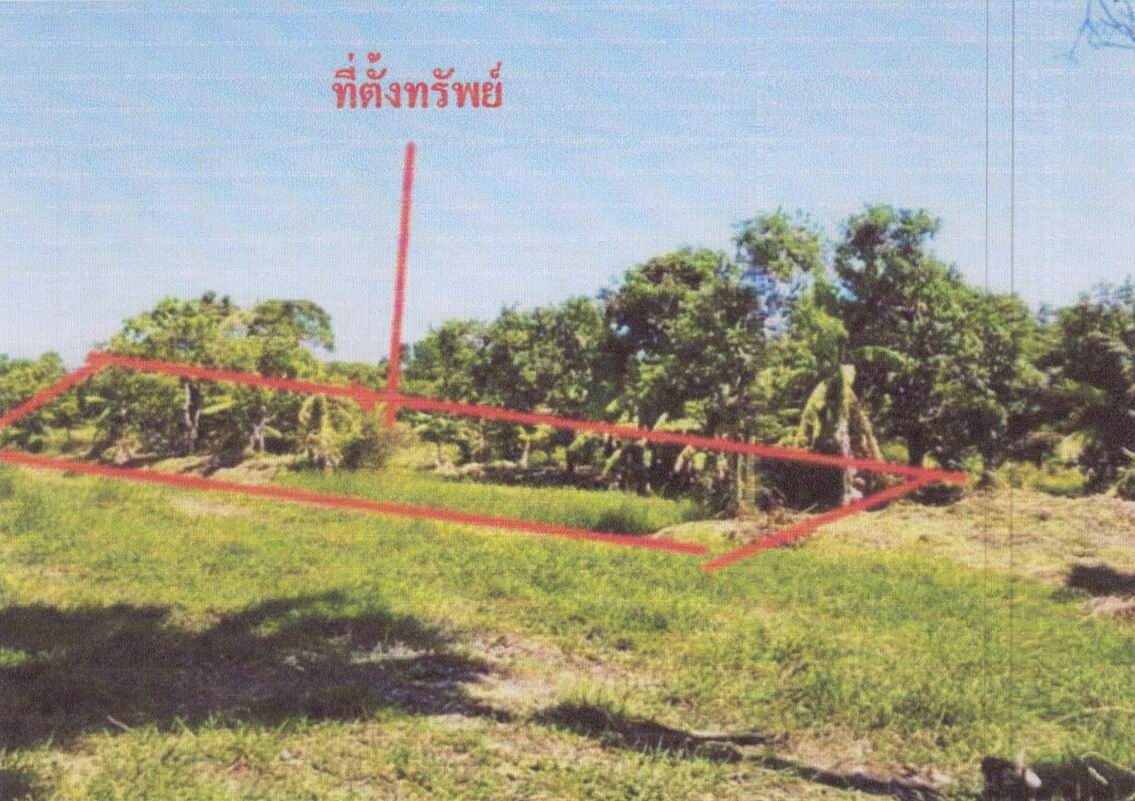 รูปที่ดินว่างเปล่า ชิงโค สิงหนคร สงขลา