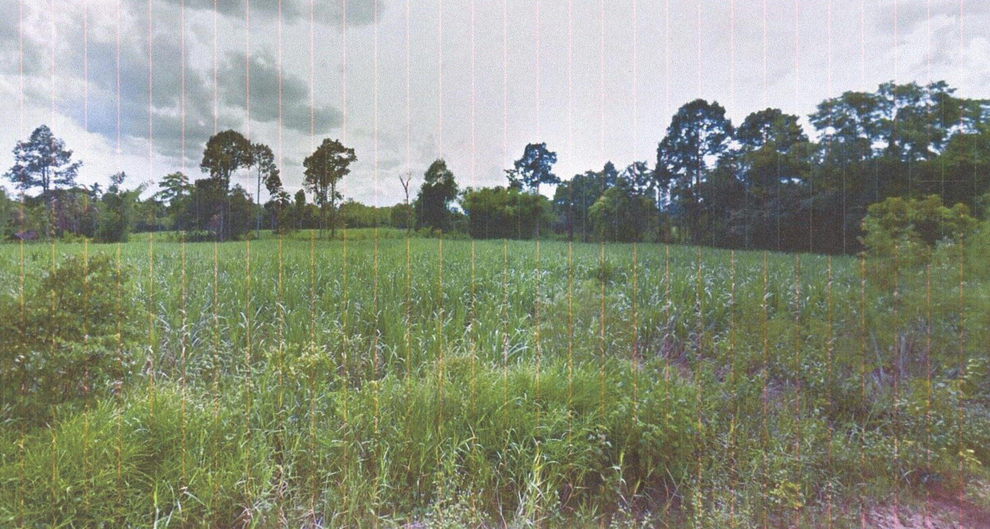 รูปที่ดินว่างเปล่า เมืองเก่าพัฒนา เวียงเก่า ขอนแก่น