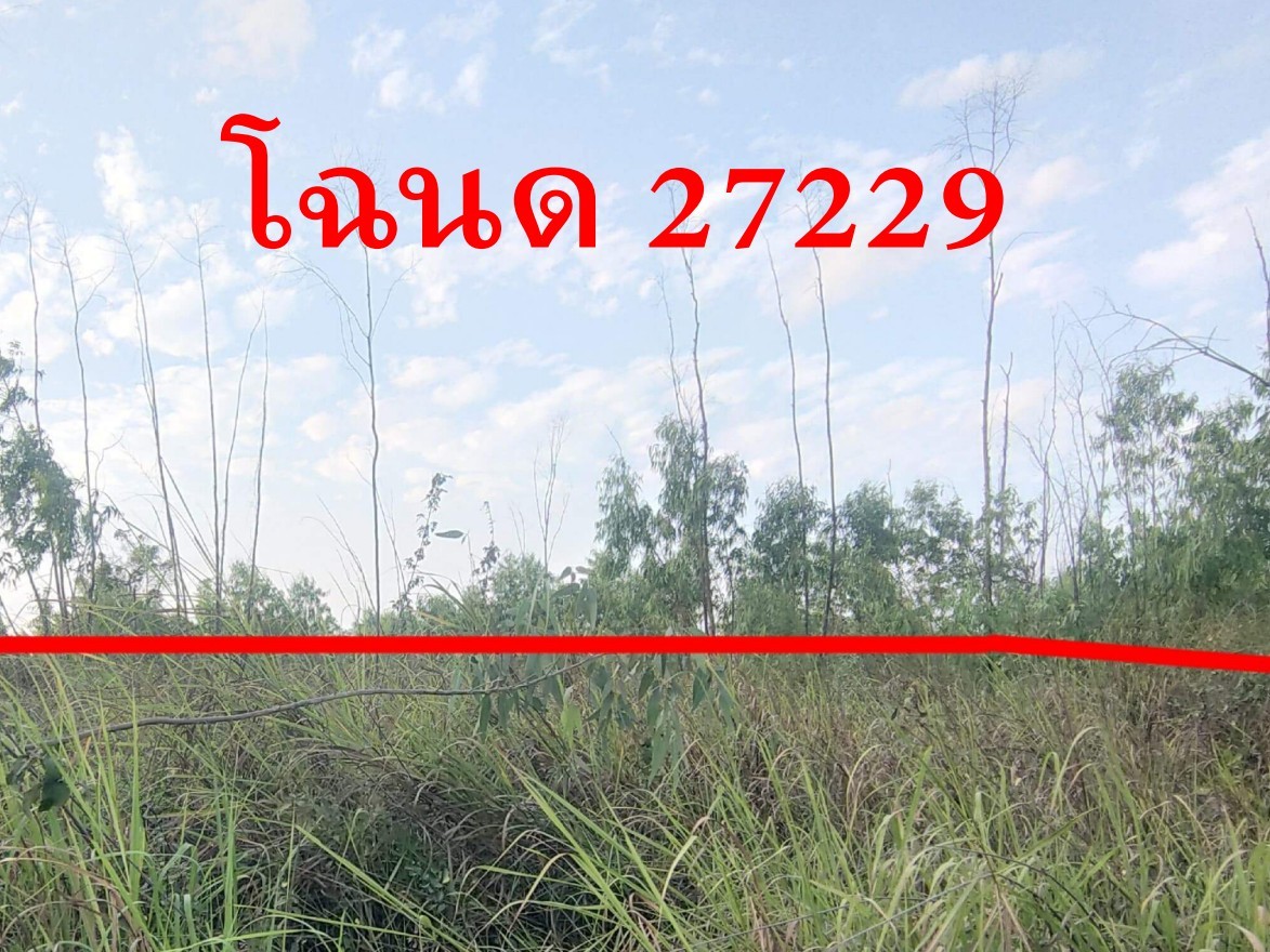 รูปที่ดินว่างเปล่า ศรีฐาน ป่าติ้ว ยโสธร