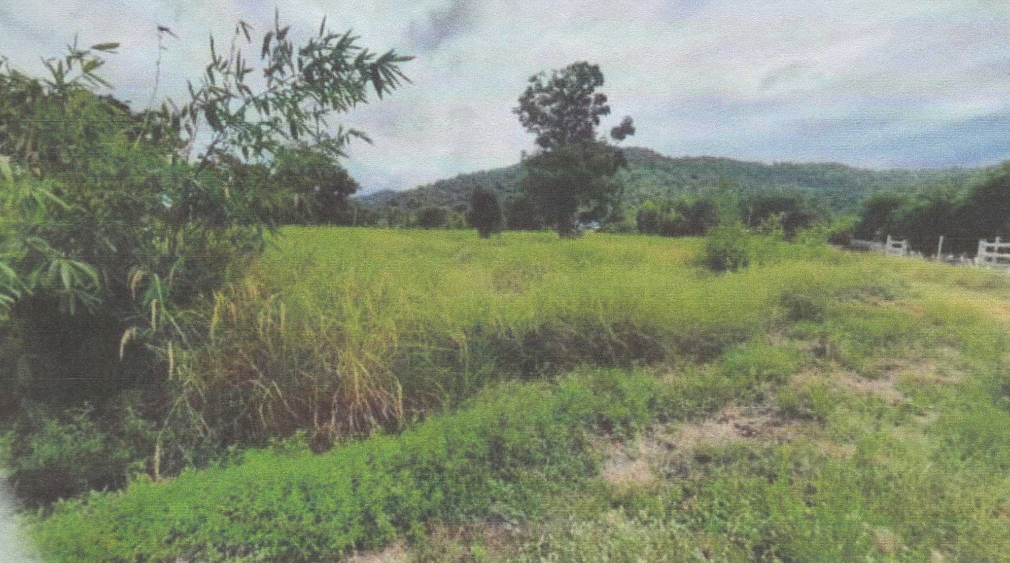 รูปที่ดินว่างเปล่า ดอนคา ท่าตะโก นครสวรรค์