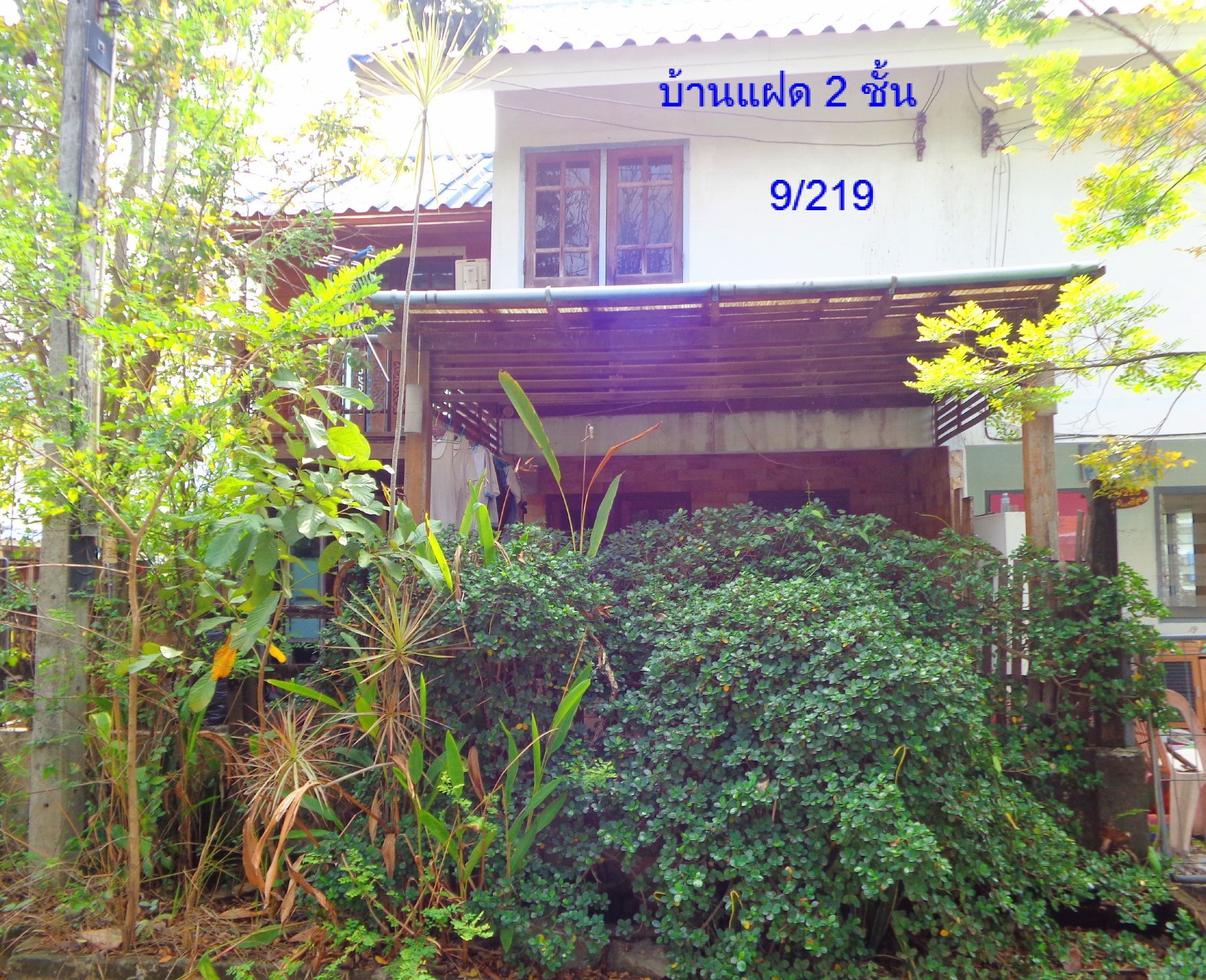 รูปที่ดินพร้อมสิ่งปลูกสร้าง ตะพง เมืองระยอง ระยอง