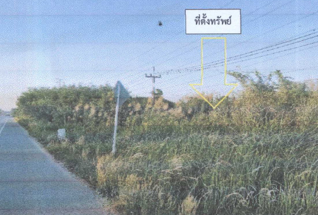 รูปที่ดินว่างเปล่า พรุพี บ้านนาสาร สุราษฎร์ธานี