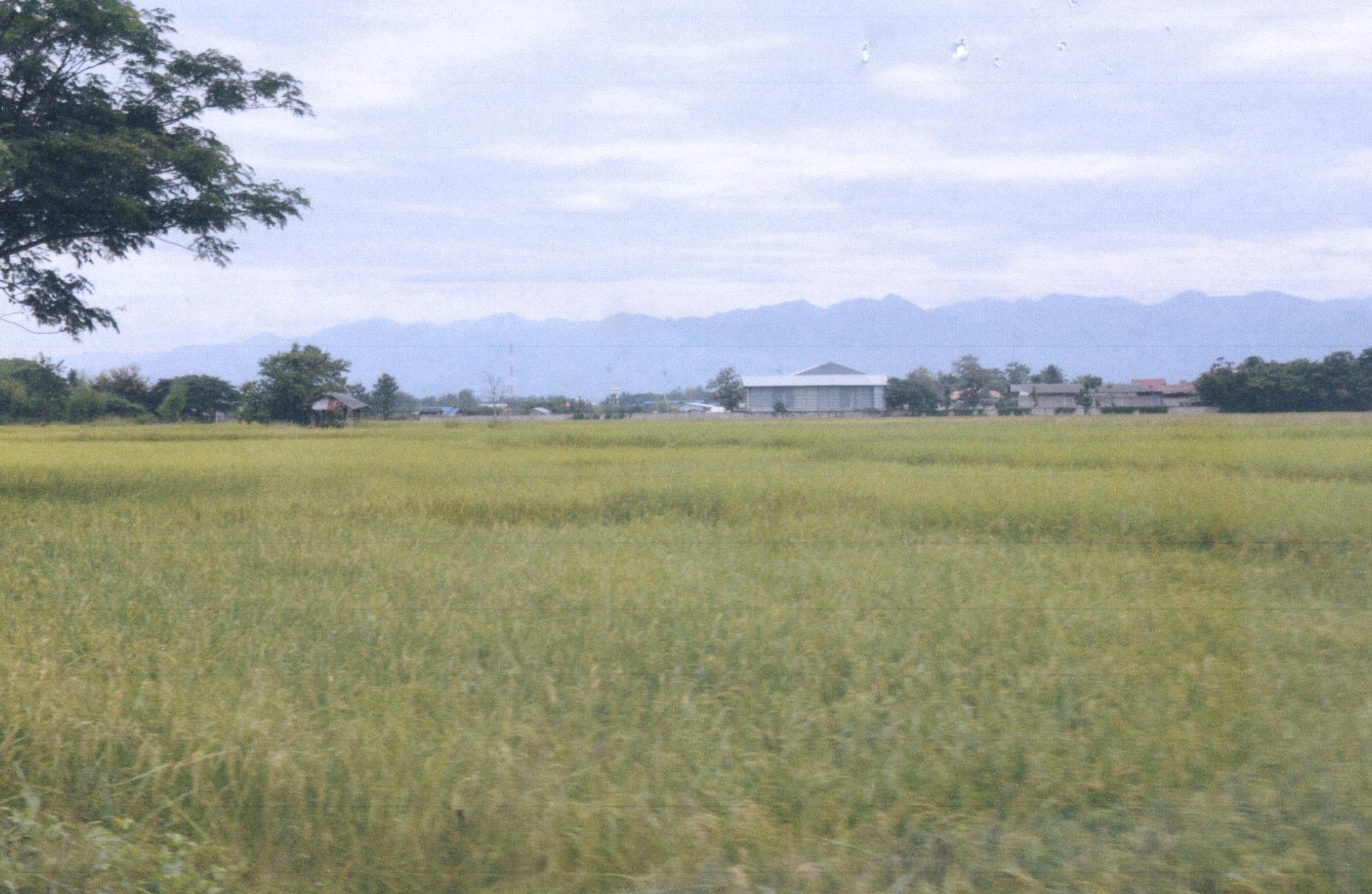 รูปที่ดินว่างเปล่า ทุ่งโฮ้ง เมืองแพร่ แพร่
