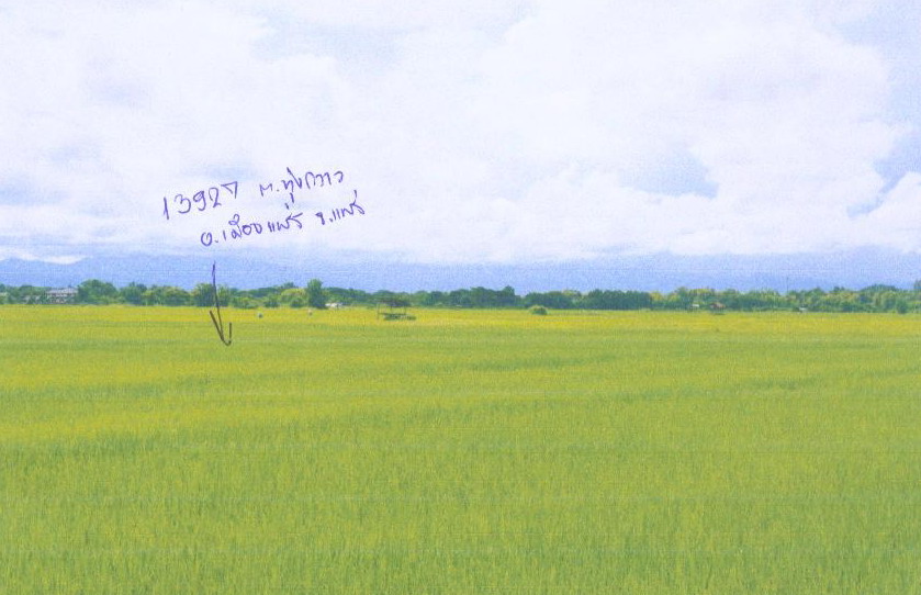 รูปที่ดินว่างเปล่า ทุ่งกวาว เมืองแพร่ แพร่