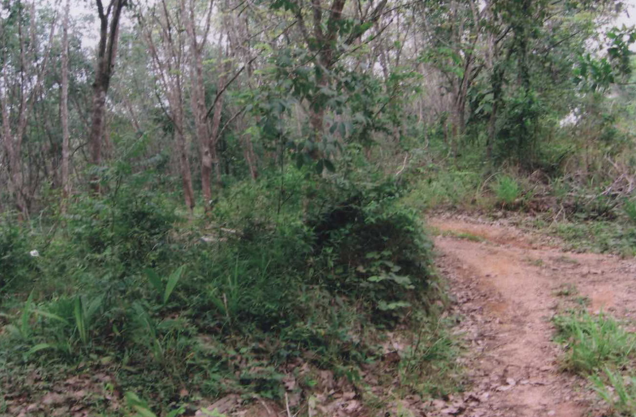 รูปที่ดินว่างเปล่า ปล่องหอย กะพ้อ ปัตตานี