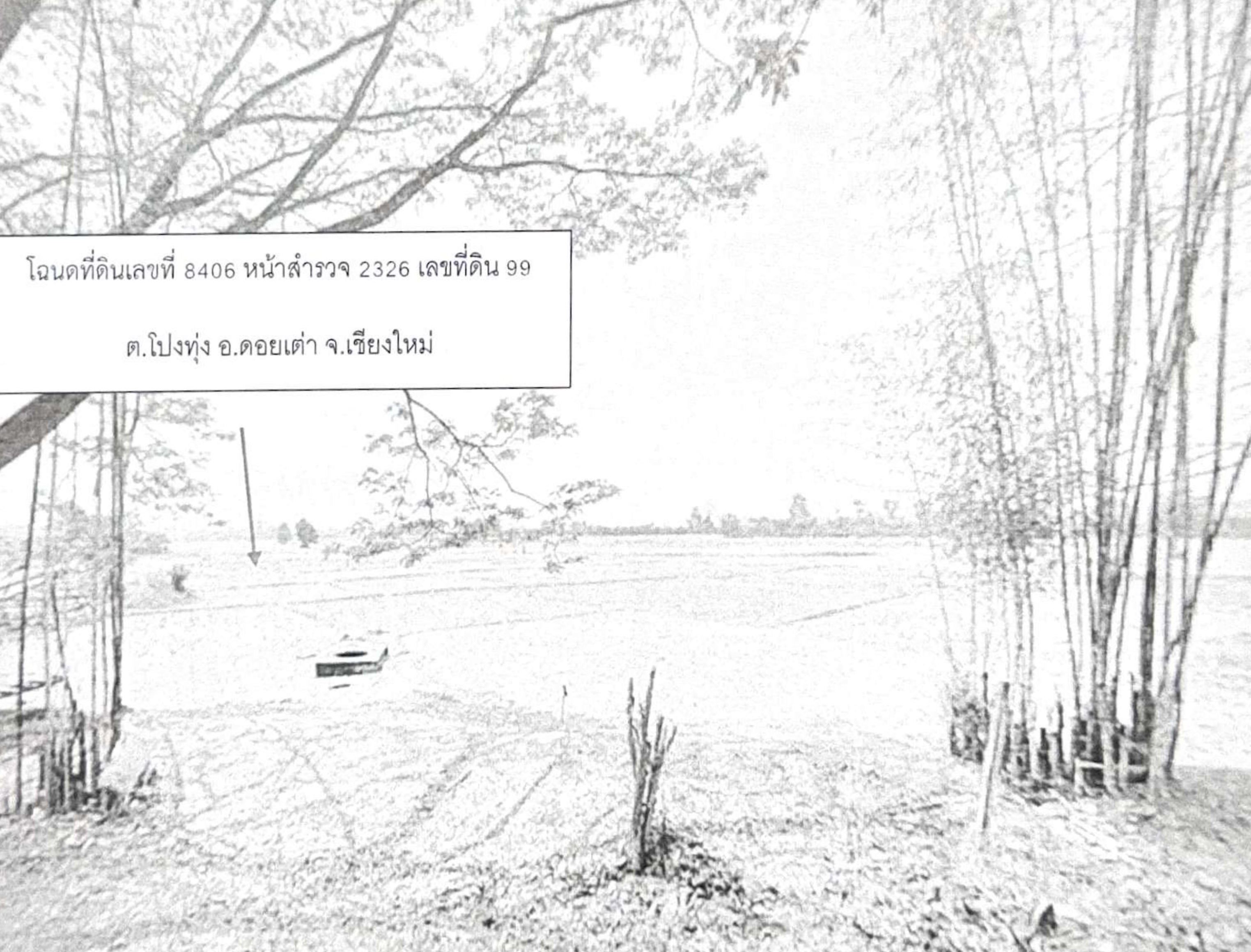 รูปที่ดินว่างเปล่า โปงทุ่ง ดอยเต่า เชียงใหม่